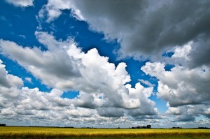 Photo Credit: Nathan Siemers