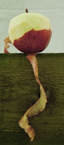 Photo Credit: David Pacey