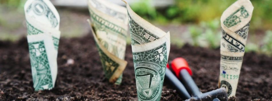 Dollar bills in the ground