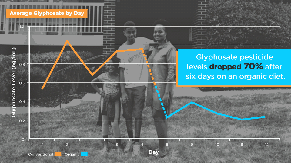 Levels of glyphosate (aka Roundup) in families drop dramatically after one week of organic diet