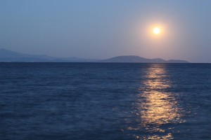 Photo Credit: Duncan Hull