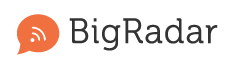 BigRadar Logo
